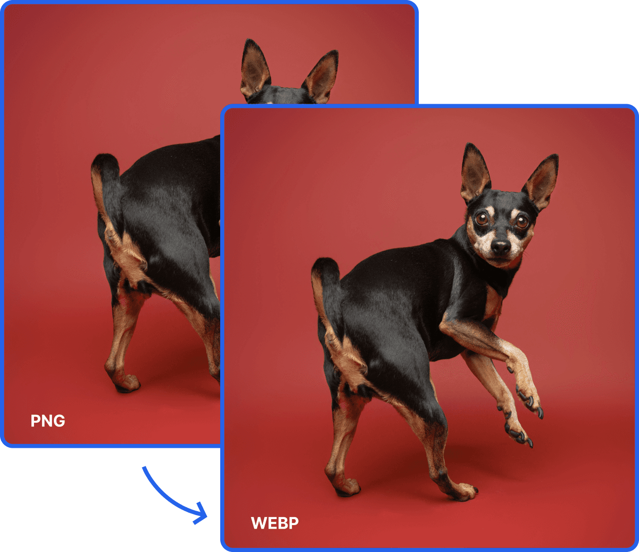 image-converter